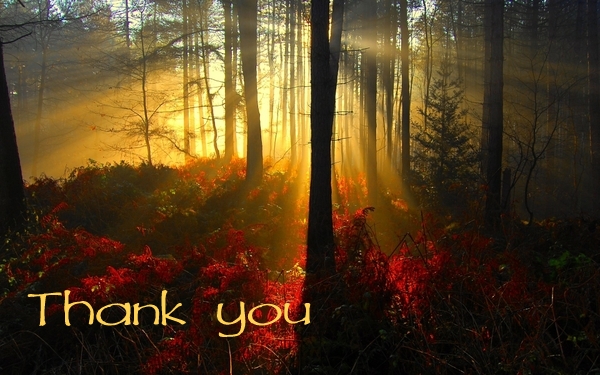 Thank you fall morning