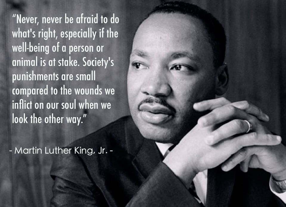 MLK Jr.