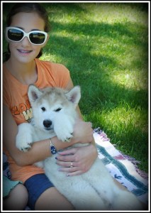 Puppy Party Snuggles BORDER