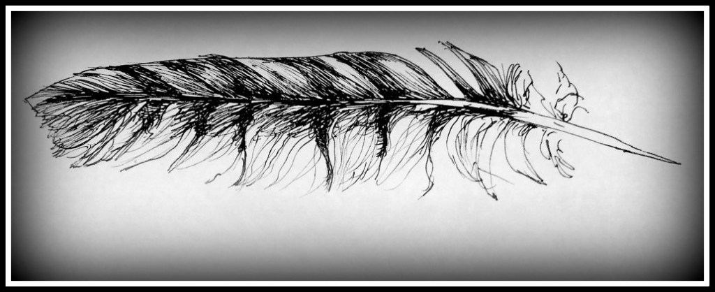 Credit to Martha Kennedy, author and artist 