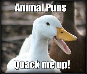 animal puns quack me up ADJ