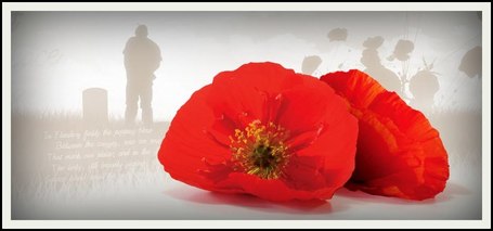 poppies_for_remembrance_day_border_1_50-smaller