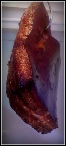 Bring Home the Bacon